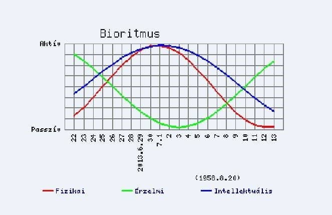 Bioritmus számoló